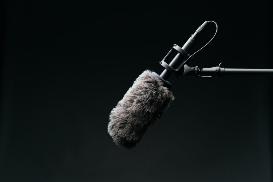 black condenser microphone